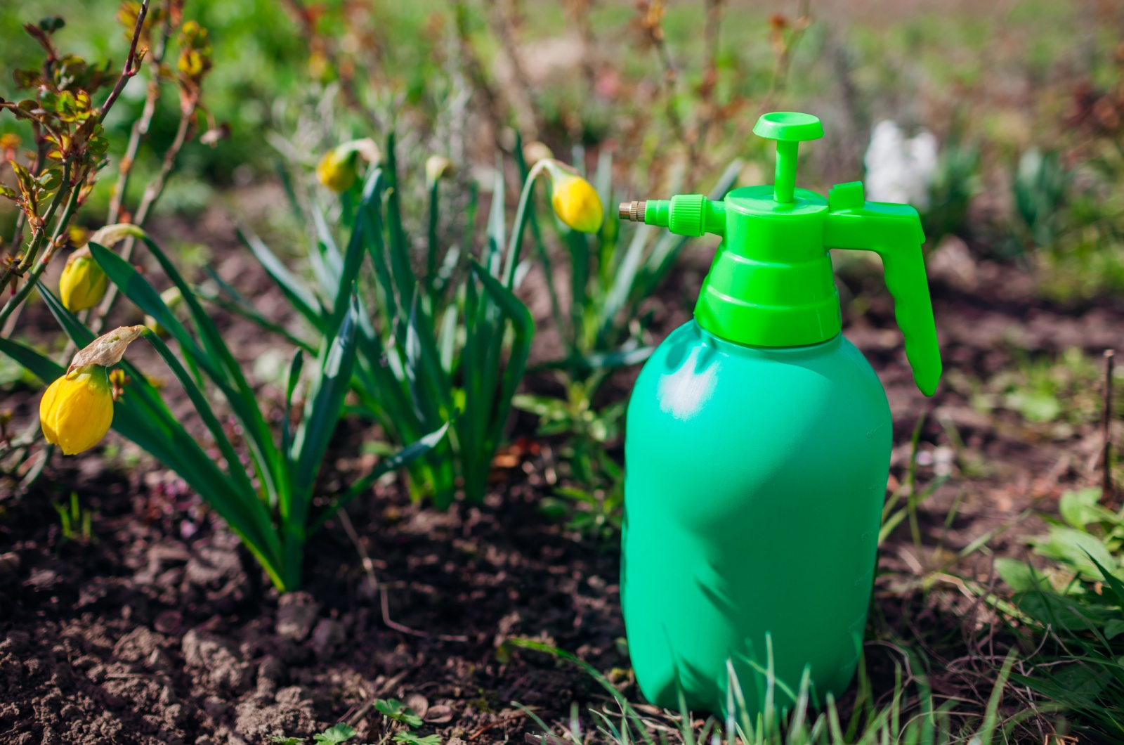 spray bottle next to plants