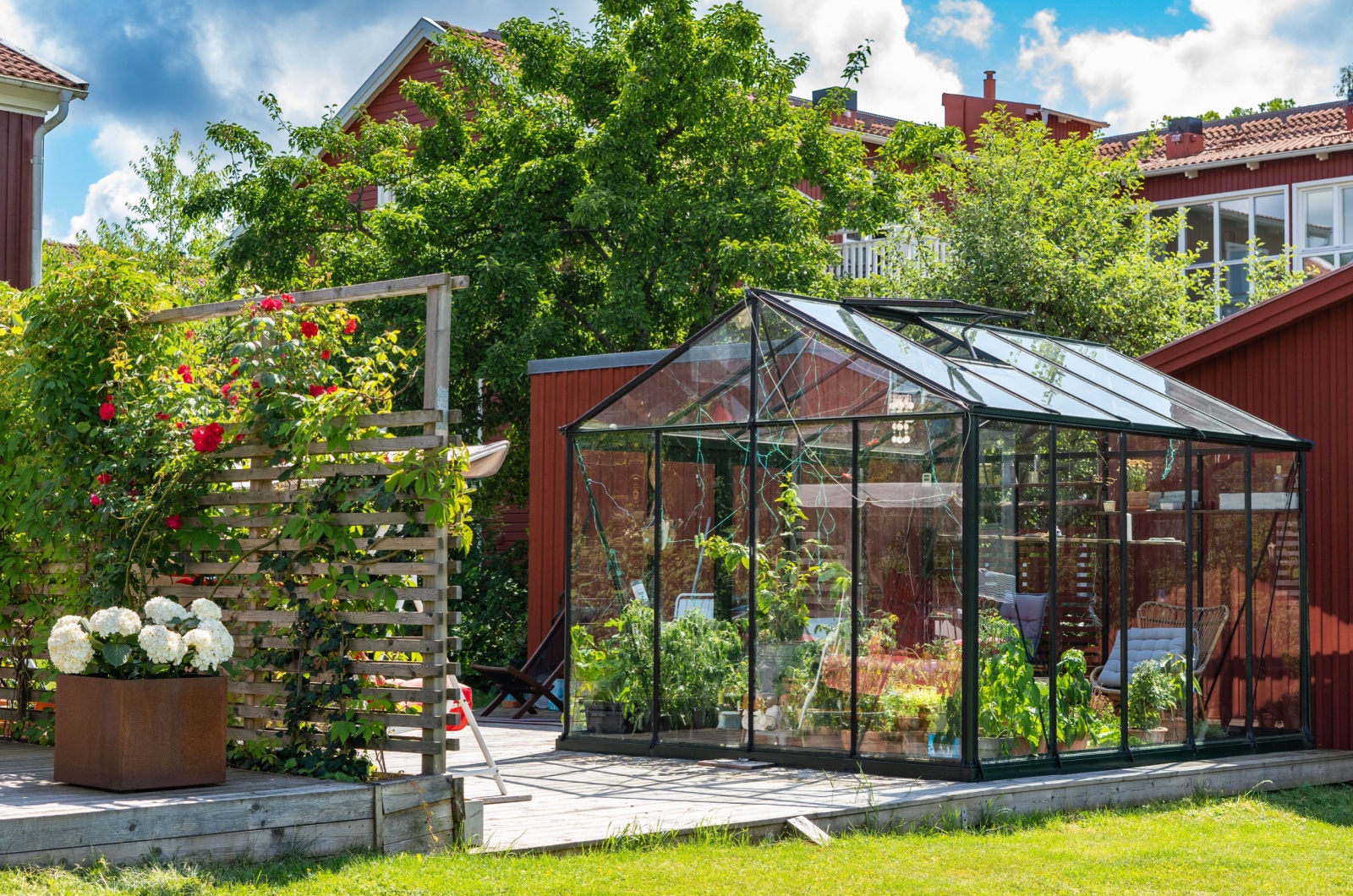 Greenhouse in yard