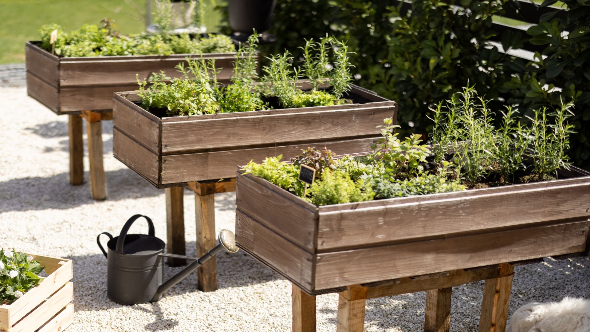 Save Your Plants From Drowning With These Essential Tips For Waterlogged Outdoor Planters