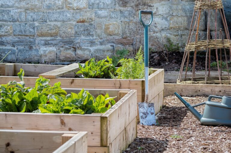 wooden raised beds in garden
