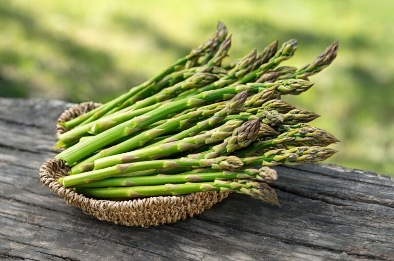 photo of green asparagus