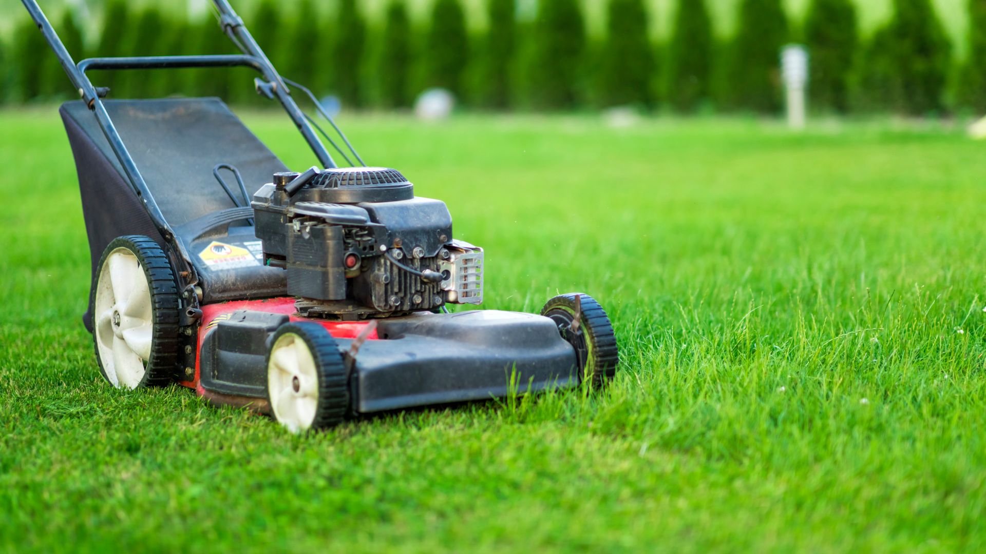 You Won’t Believe How Amazing Your Lawn Will Look If You Mow It At The Right Time