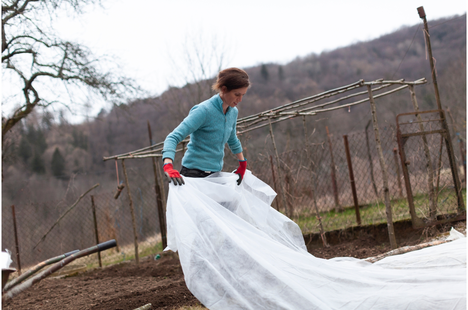 female covering vegetable beds