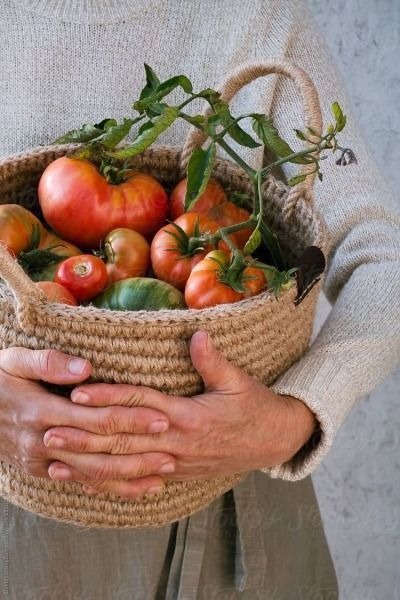 gardener holding basket of tomatoes
