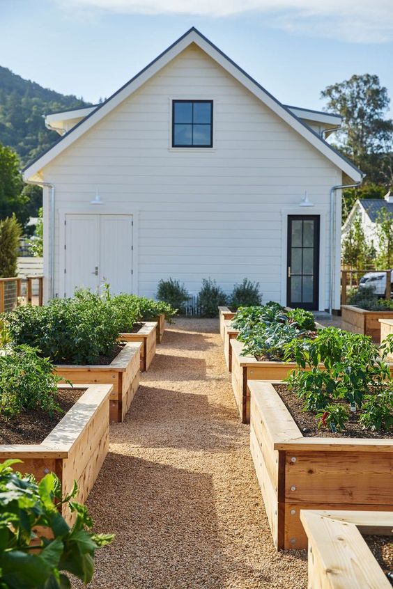 raised beds in garden