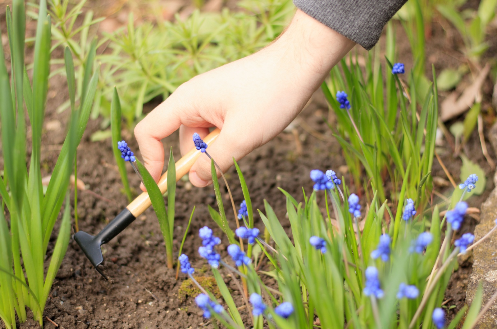 woman and plants in garden