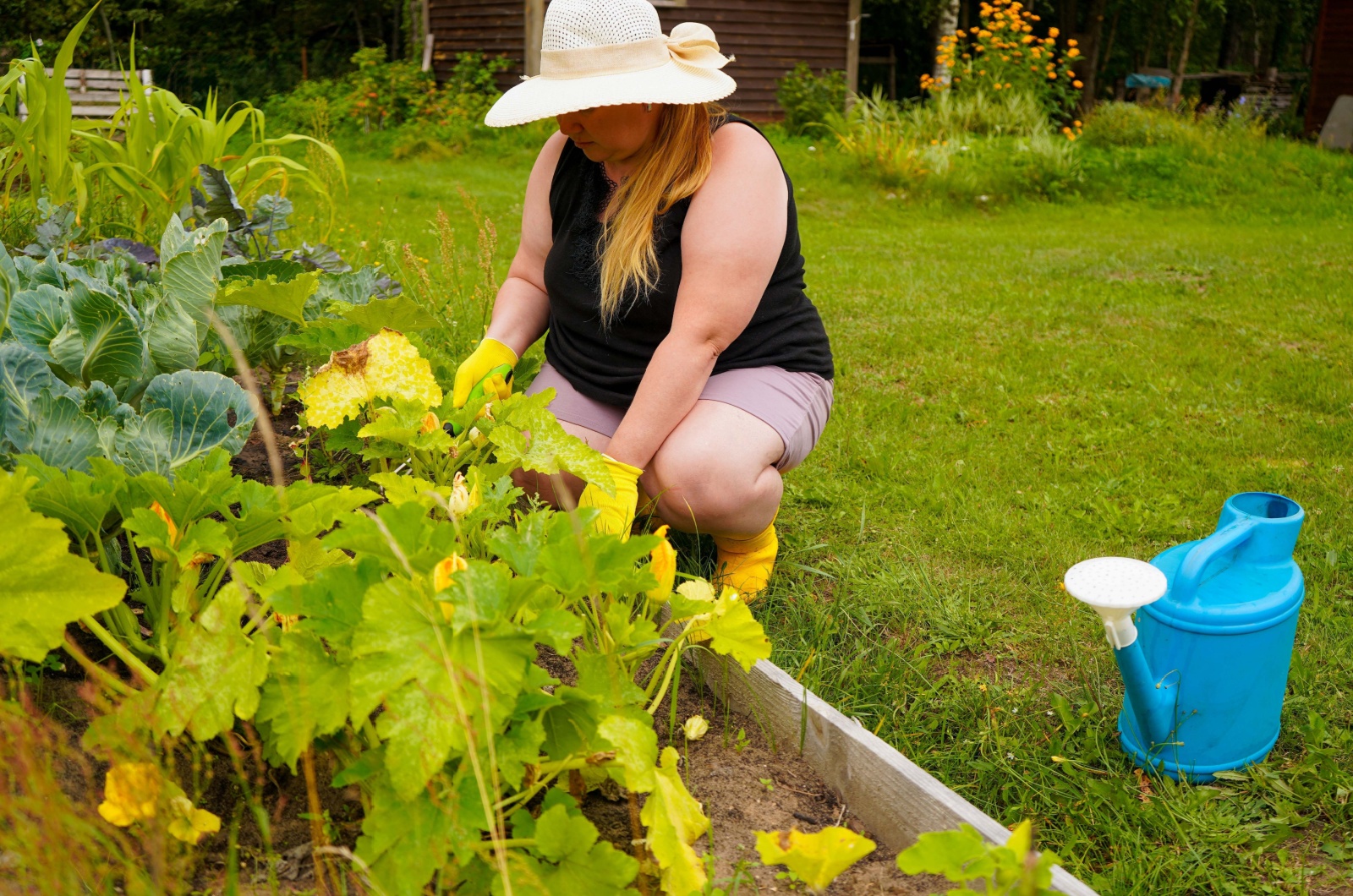 woman removing plants in garden