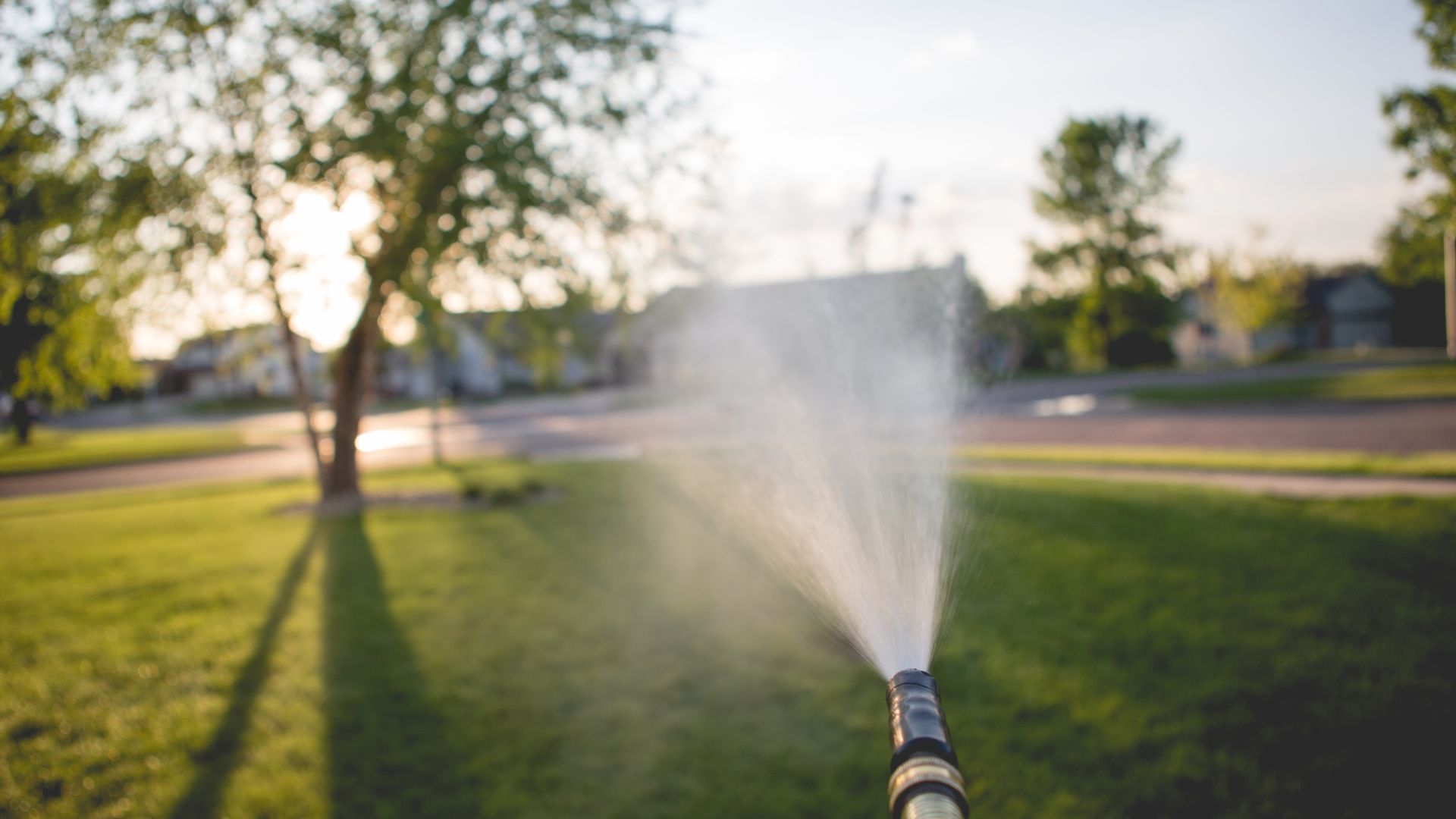 Beat The Heat In Your Garden With These Watering Tips