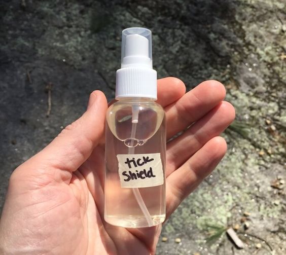 Cedar Oil for Ticks