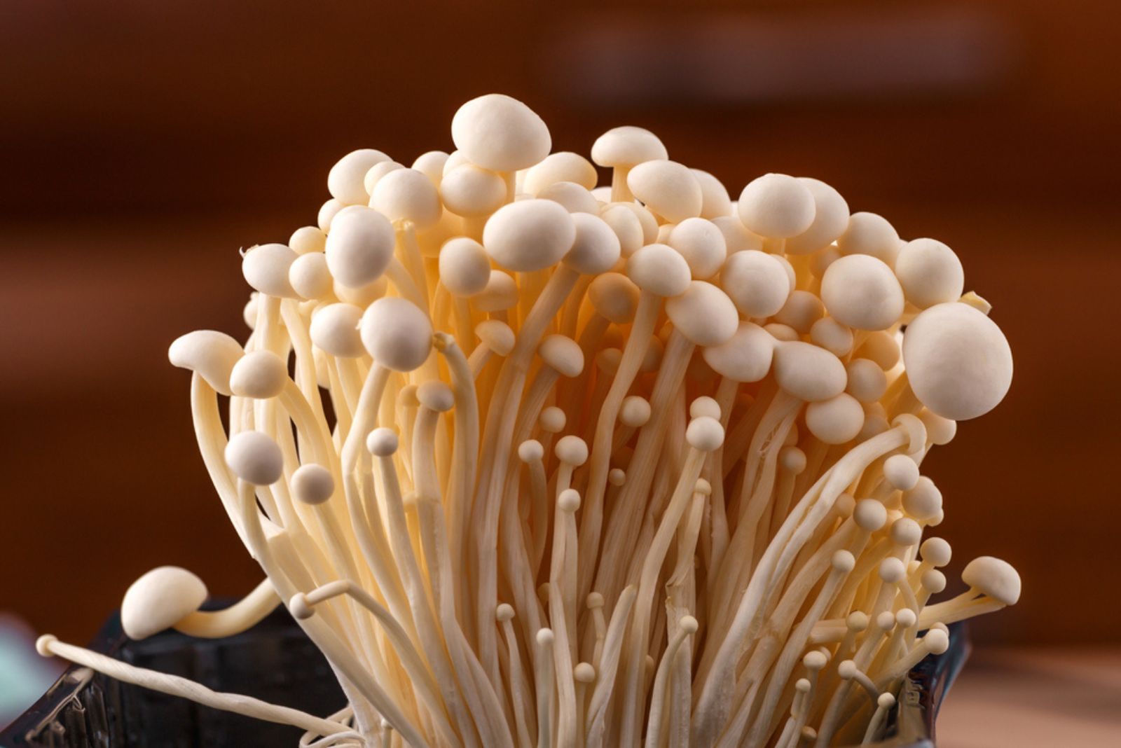 Enoki mushrooms