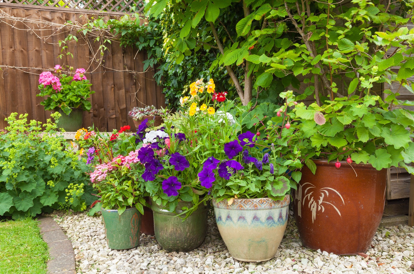 Follow These Easy Tips To Transform Your Sunny Garden With Eye-Catching Containers