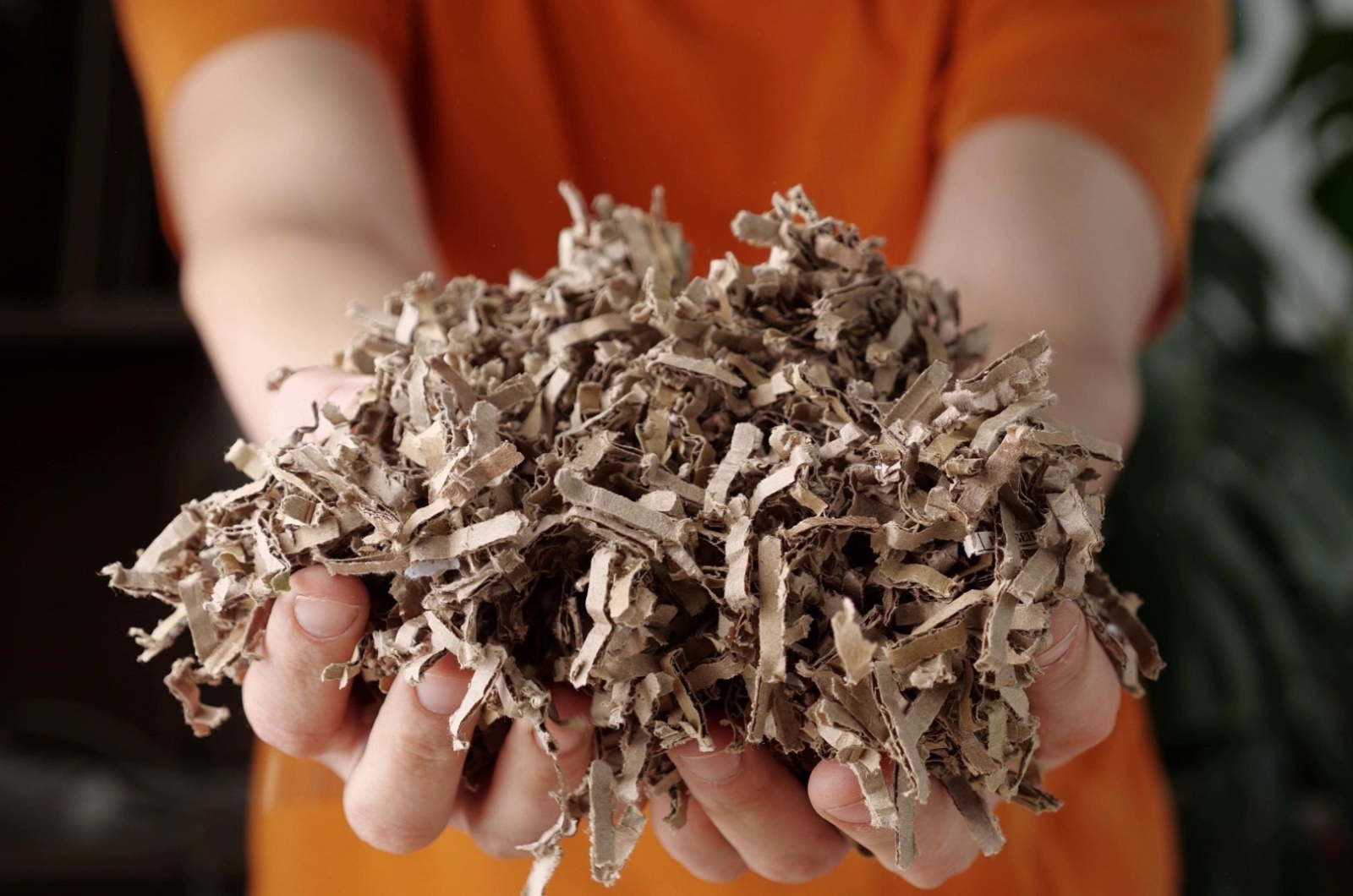 Shredded cardboard in the hands