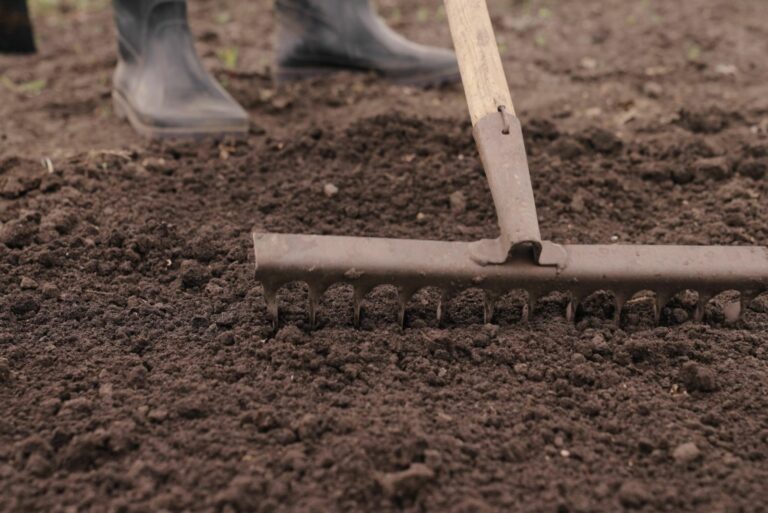 the woman is tidying the garden