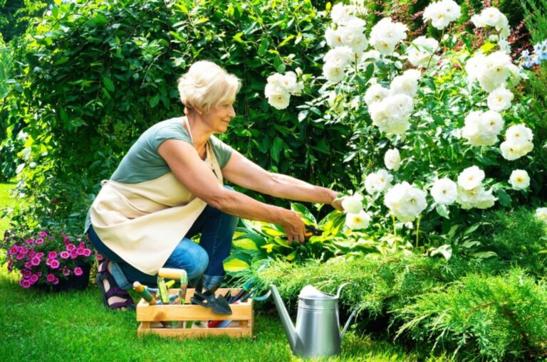 woman working in a garden on summer day