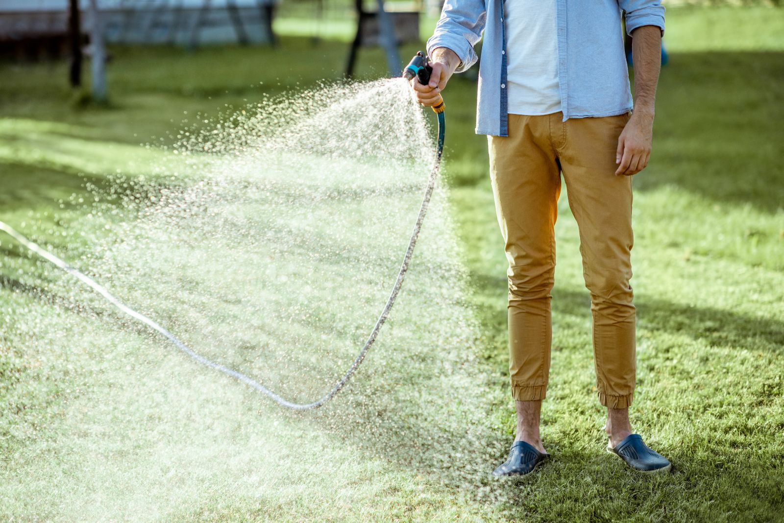 The Golden Rule Of Watering A Lawn