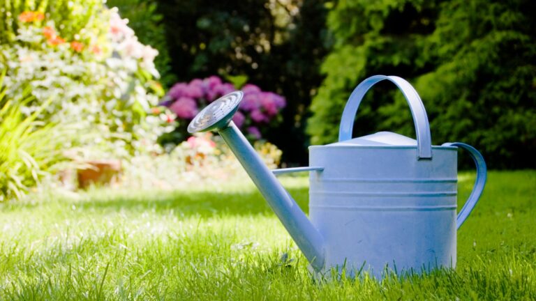 watering can in a garden