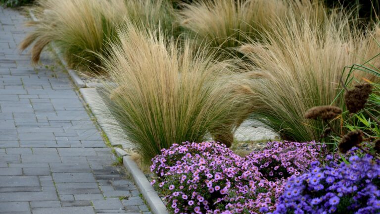 These 5 Trends From Last Year Should Take A Backseat In Your Yard