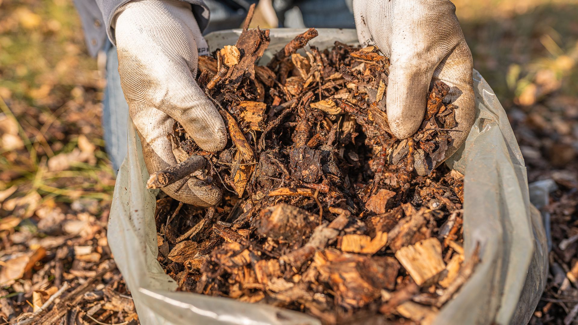 These 8 Clever Ideas Will Get You Free Mulch That’s Useful In The Garden