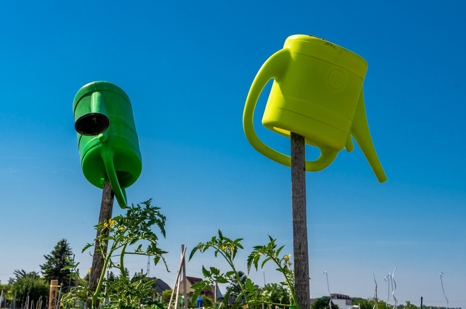 Two Plastic Watering Cans Sticked Upside Down