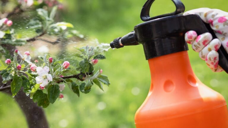 woman using fertilizer in garden