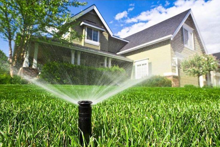 Watering Lawn With Sprinkler System