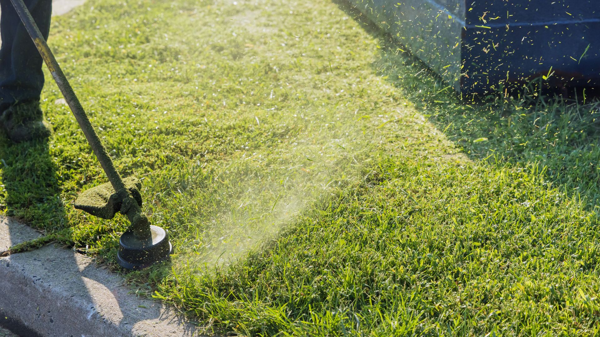 weed whacking