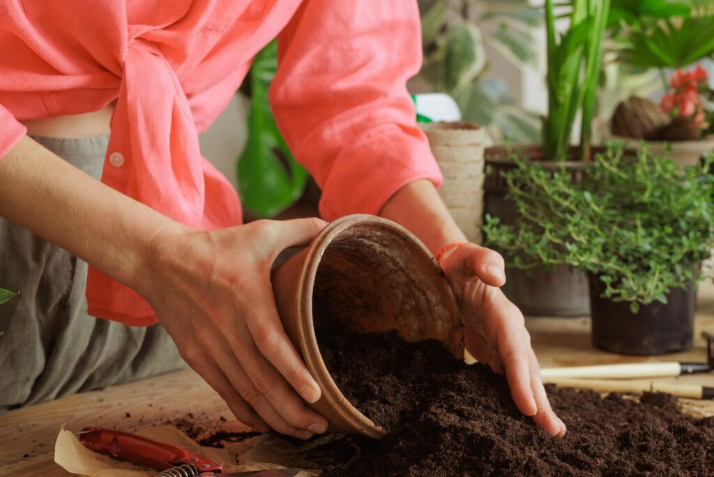 a woman fills pots with earth