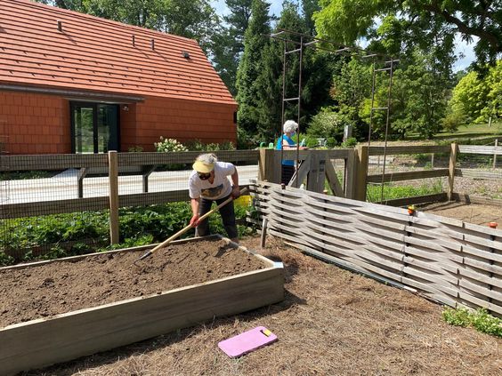 a woman prepares the ground for planting