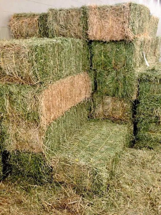 bales of hay