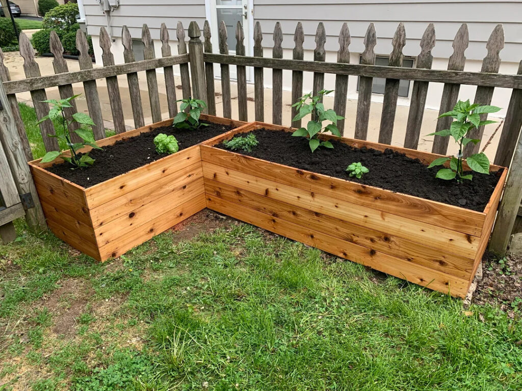 cedar planters for peppers and herbs