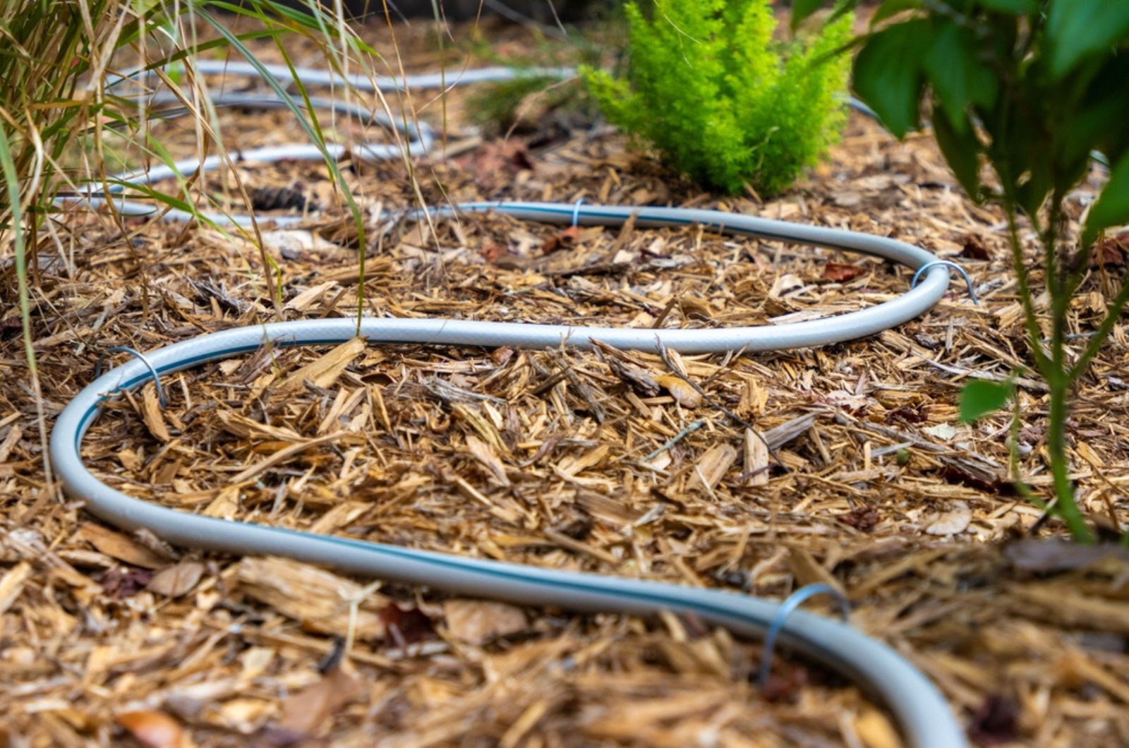 diy hose in garden