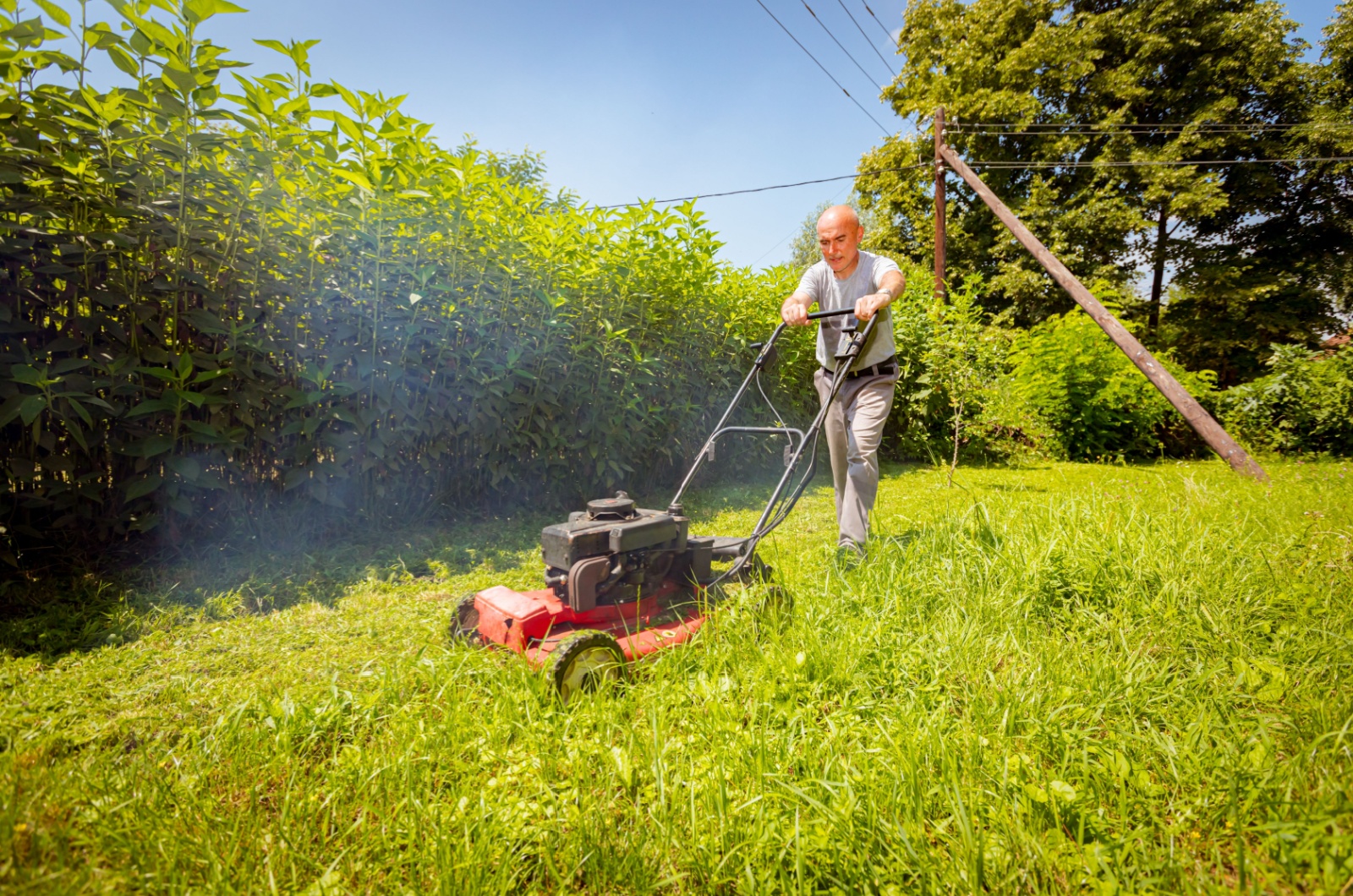 gardener mowing