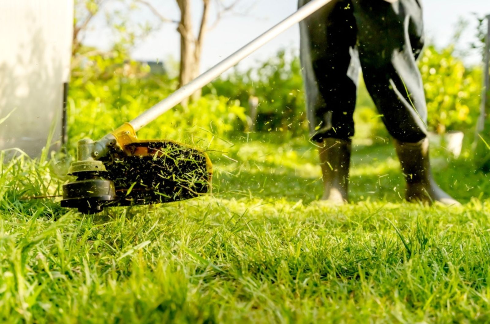 man trimming the grass