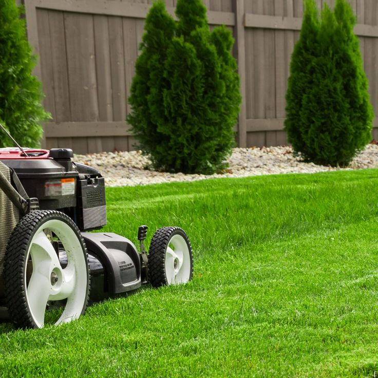 mowing with mower