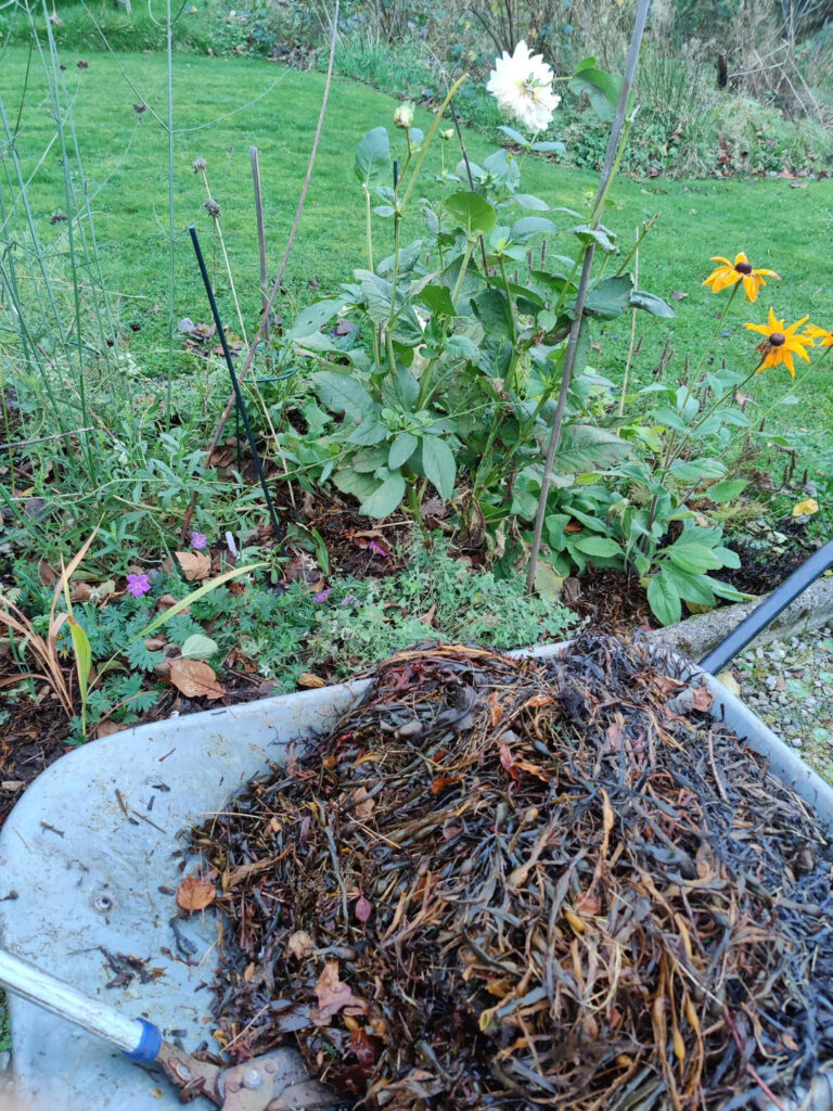 mulch made from grass in spots