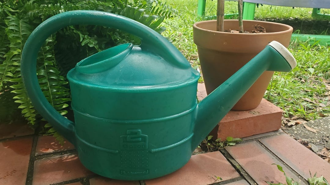 old plastic watering can