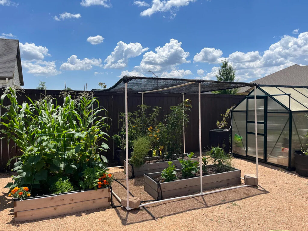 setting up a net for plants