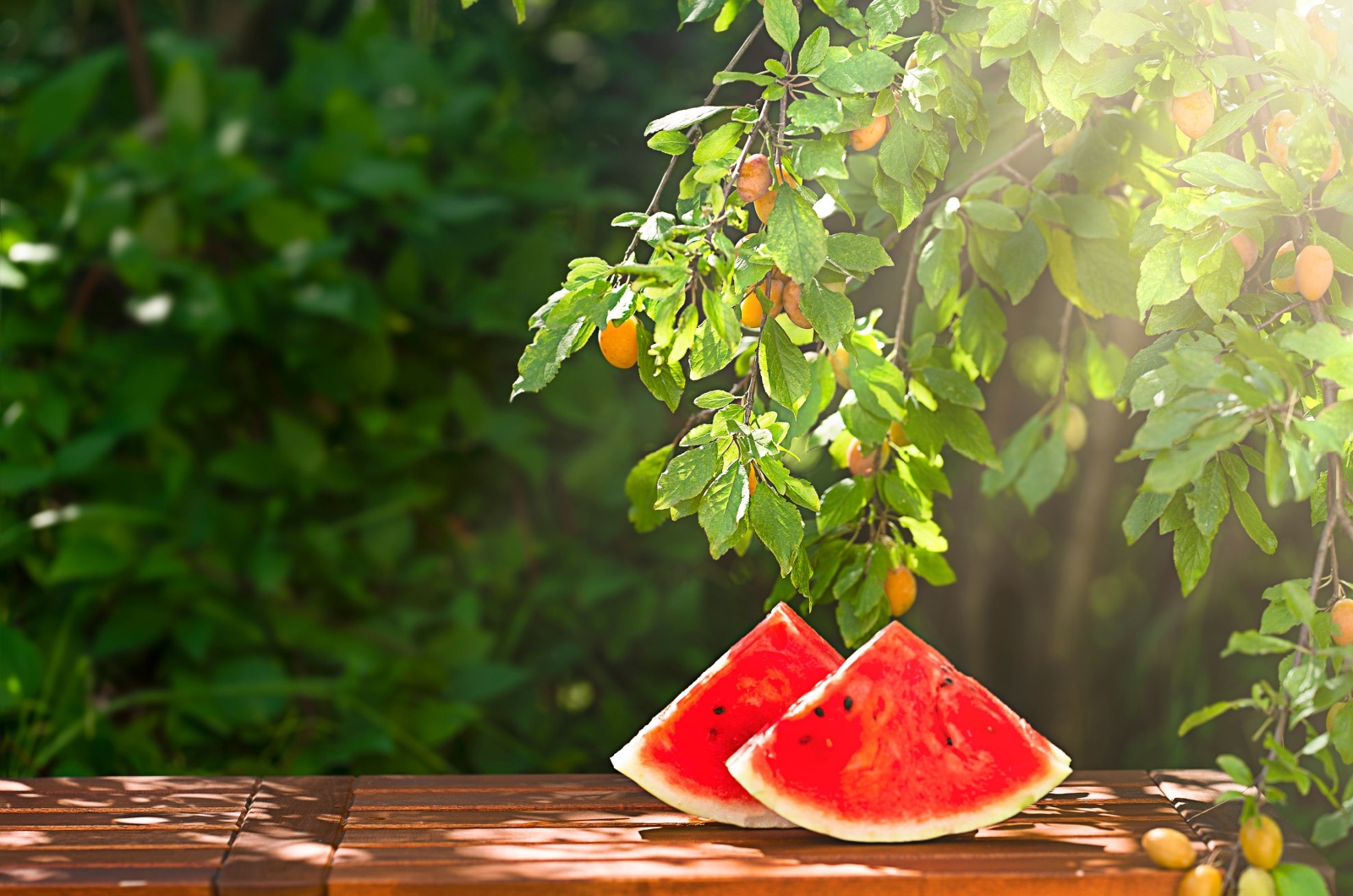 slice of watermelon