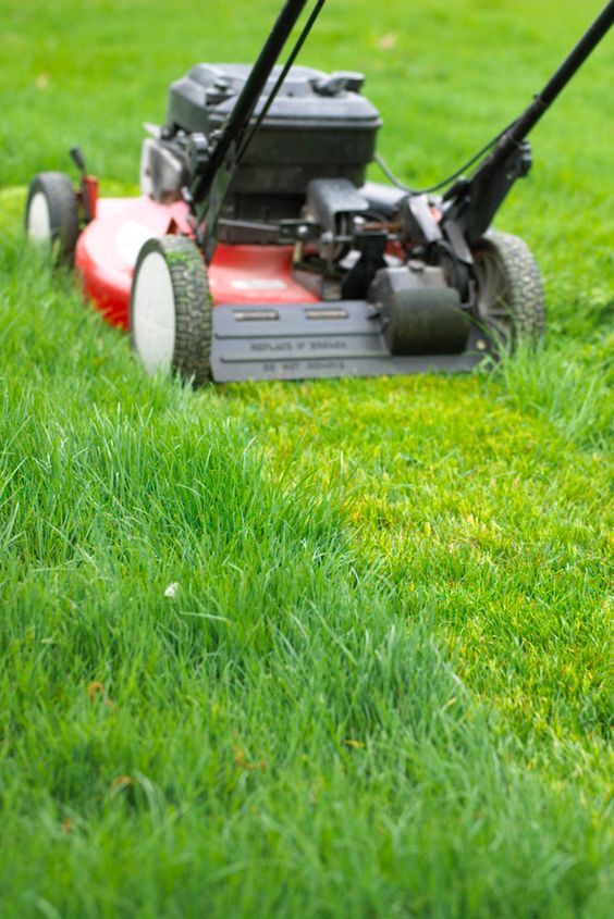 the lawnmower cuts the grass