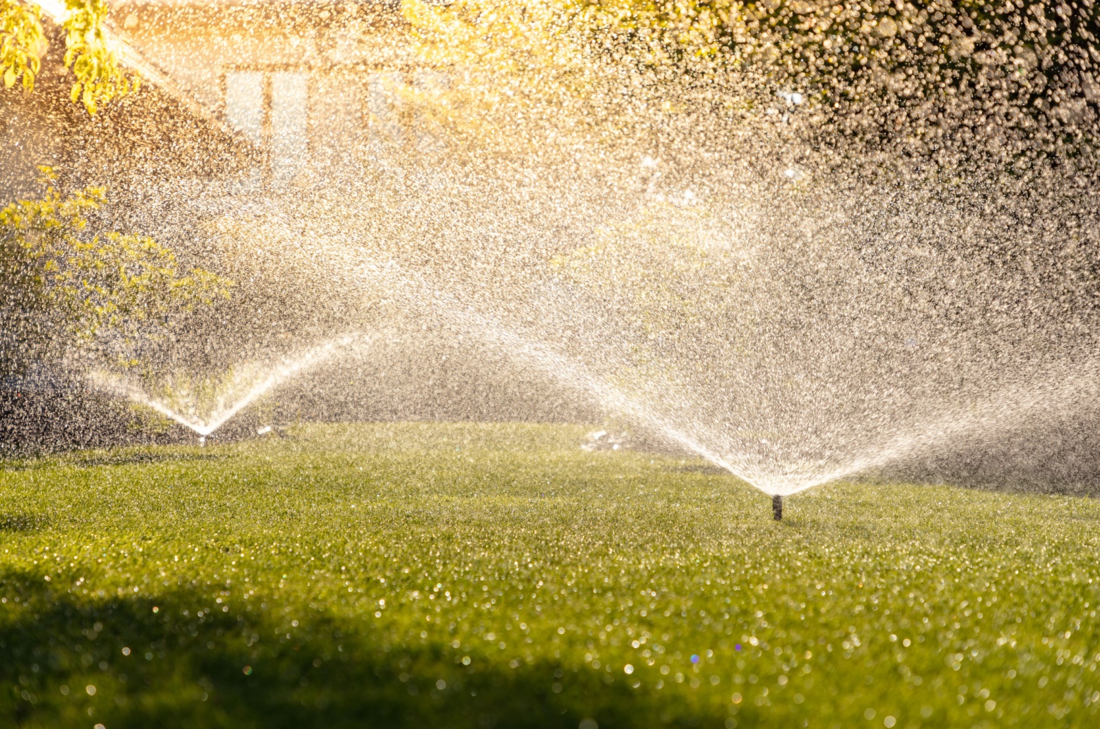 watering green lawn