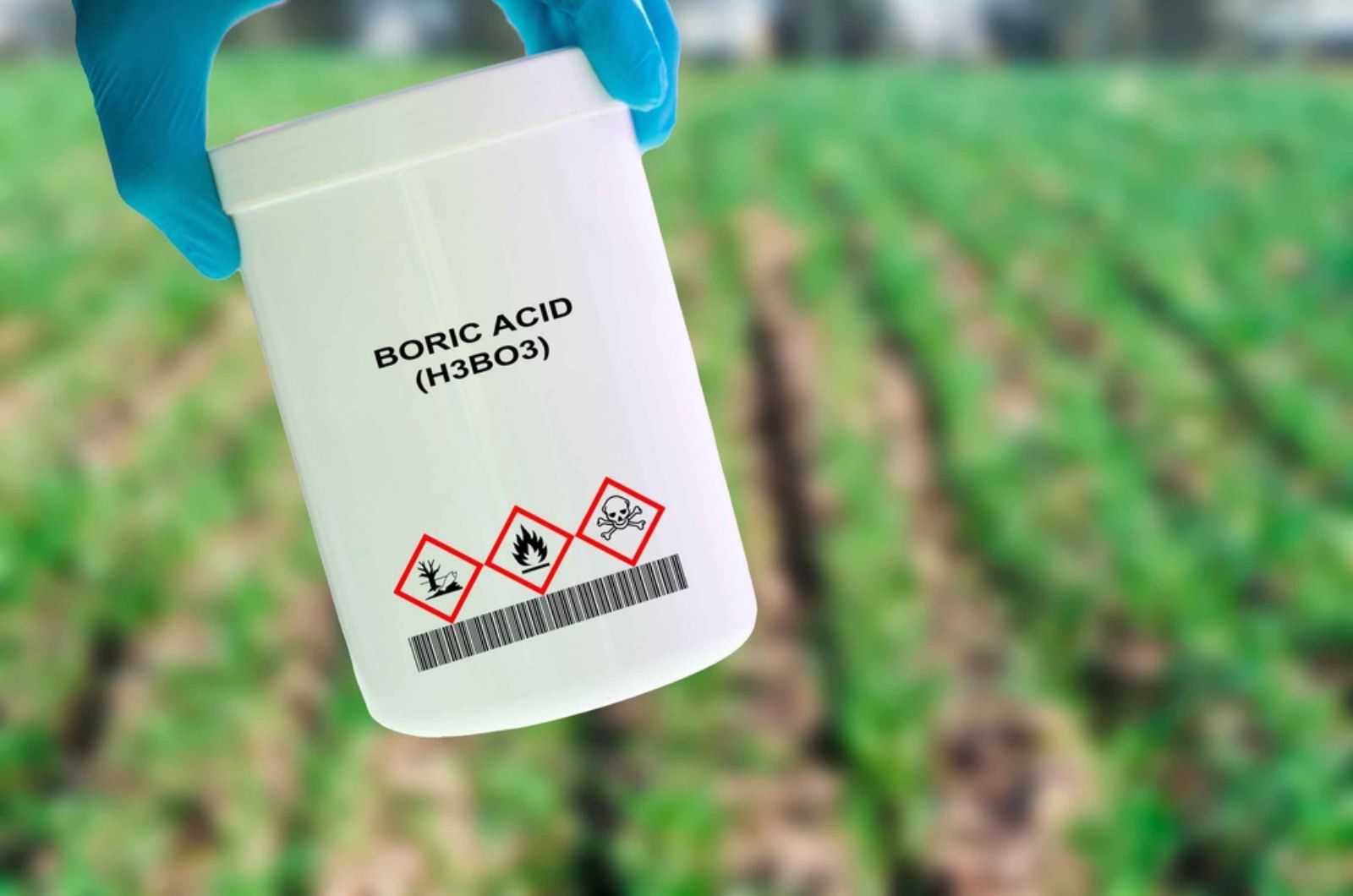 Boric acid