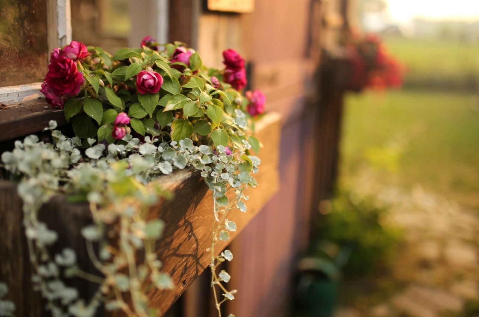 Check Out These 5 Adorable Planter Ideas To Brighten Up Your Garden This Fall 