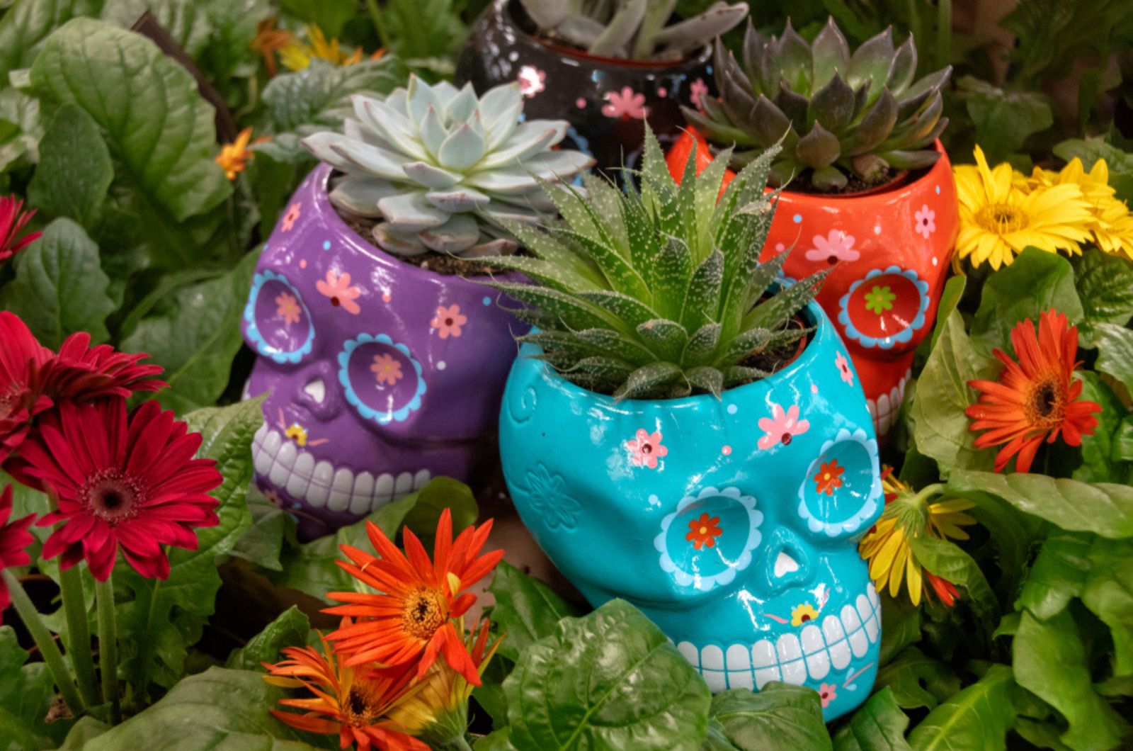 Colorful skull planters with suculents and flowers