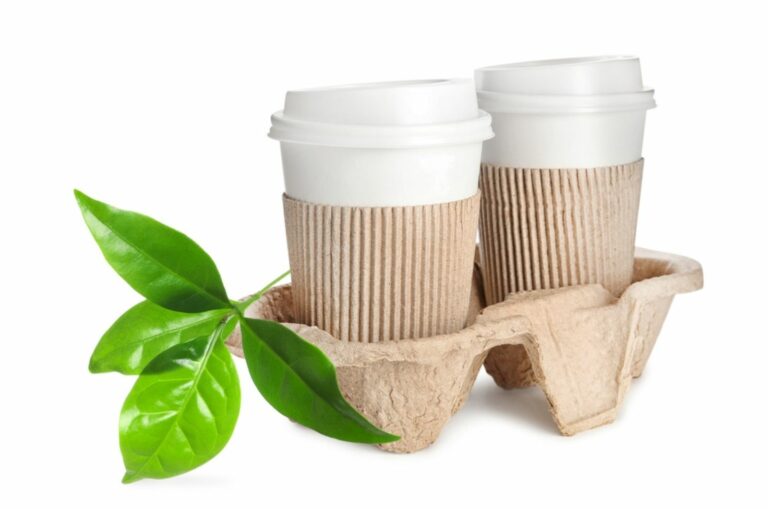 cardboard drink holder with green leaves