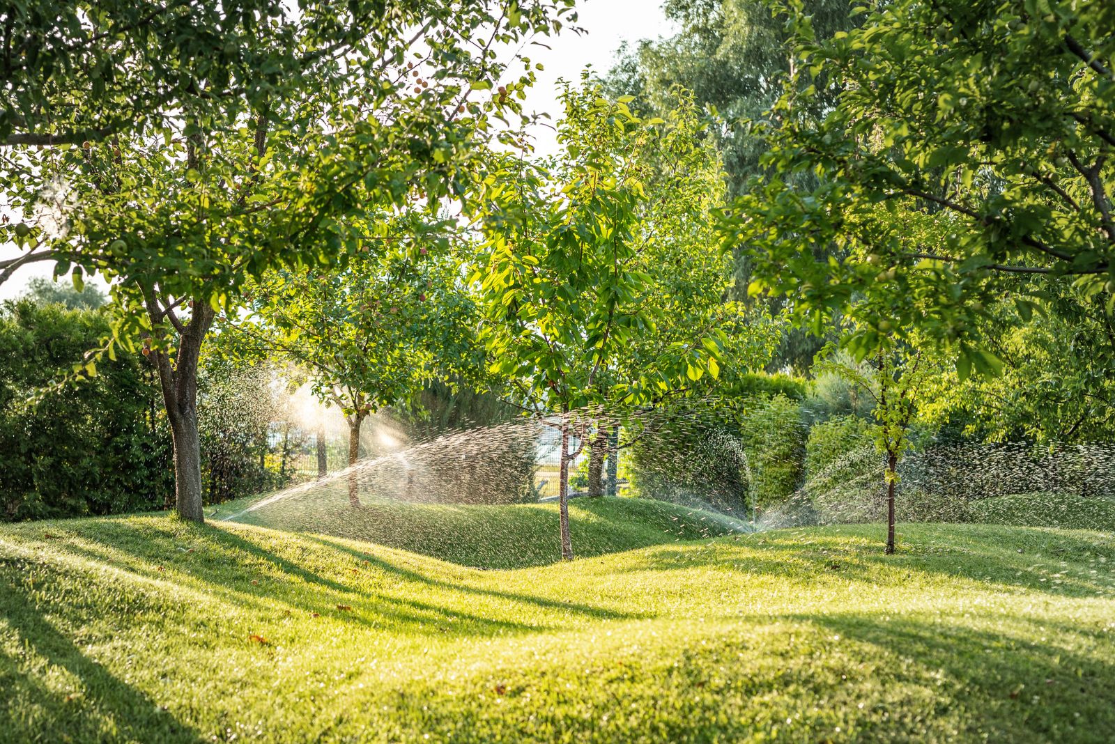 Everything You Need to Know Before Putting Above Ground Sprinklers In Your Yard