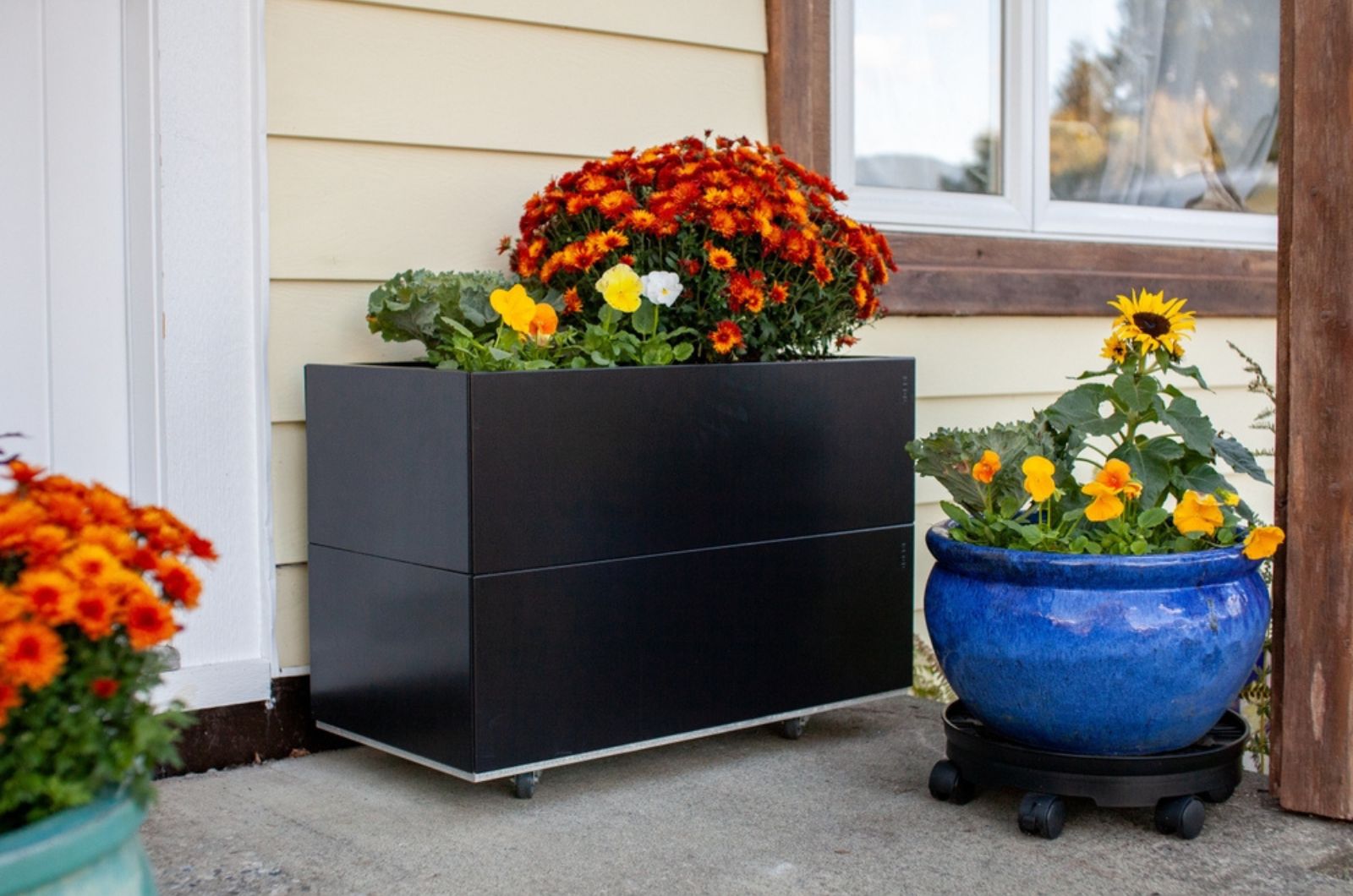 Fall flowers decorate the front door stoop of a house