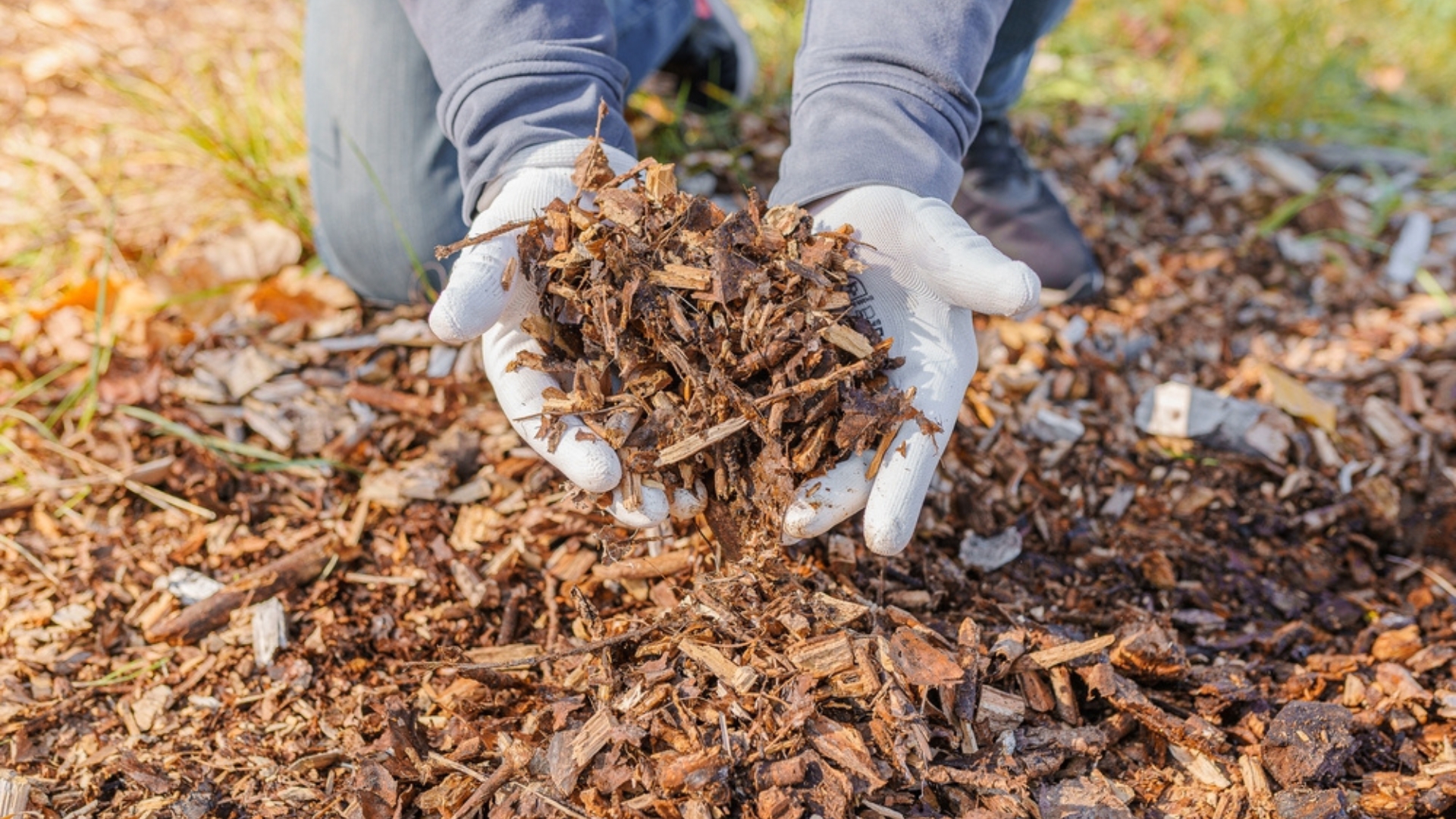 Here’s An Absolutely Brilliant Way To Repurpose Moldy Wood Chips