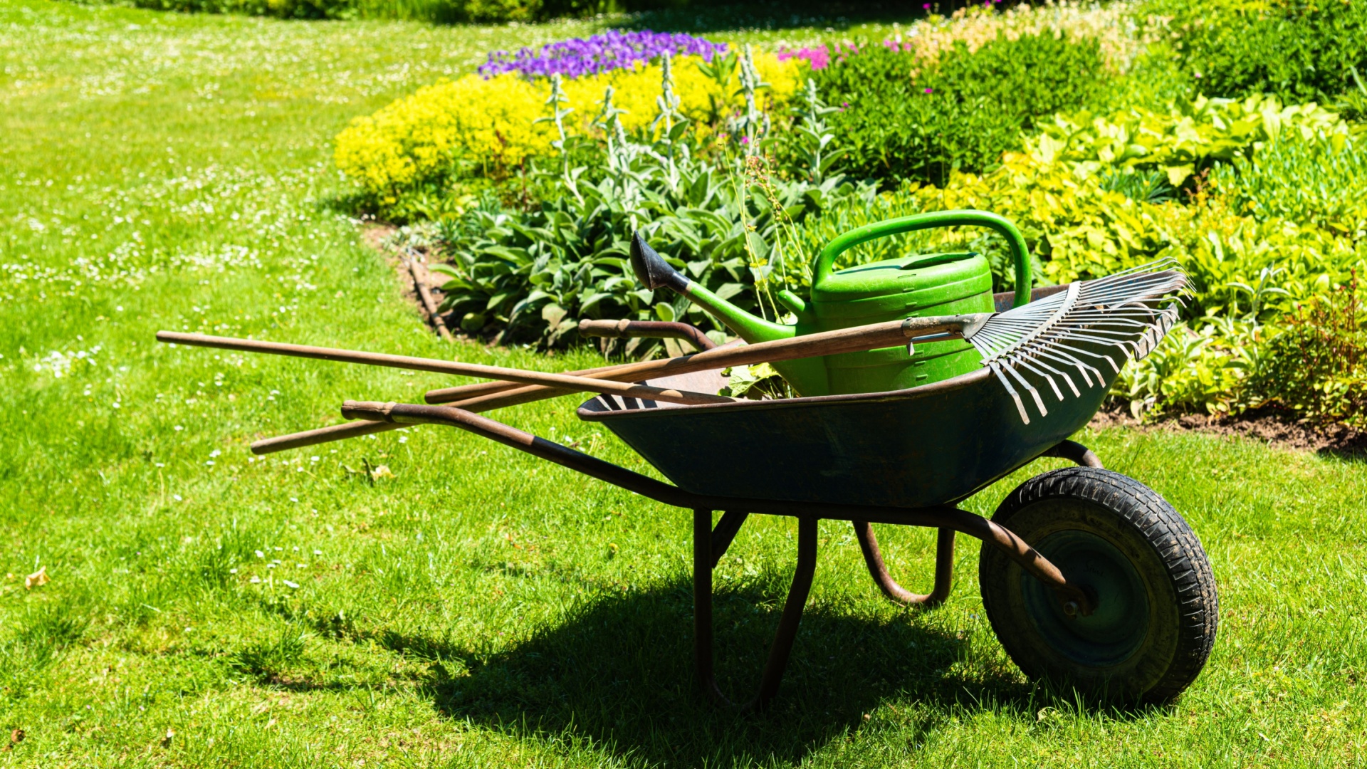 If You’ve Just Started Gardening, These 5 Game-Changing Tools Will Make It Much Easier