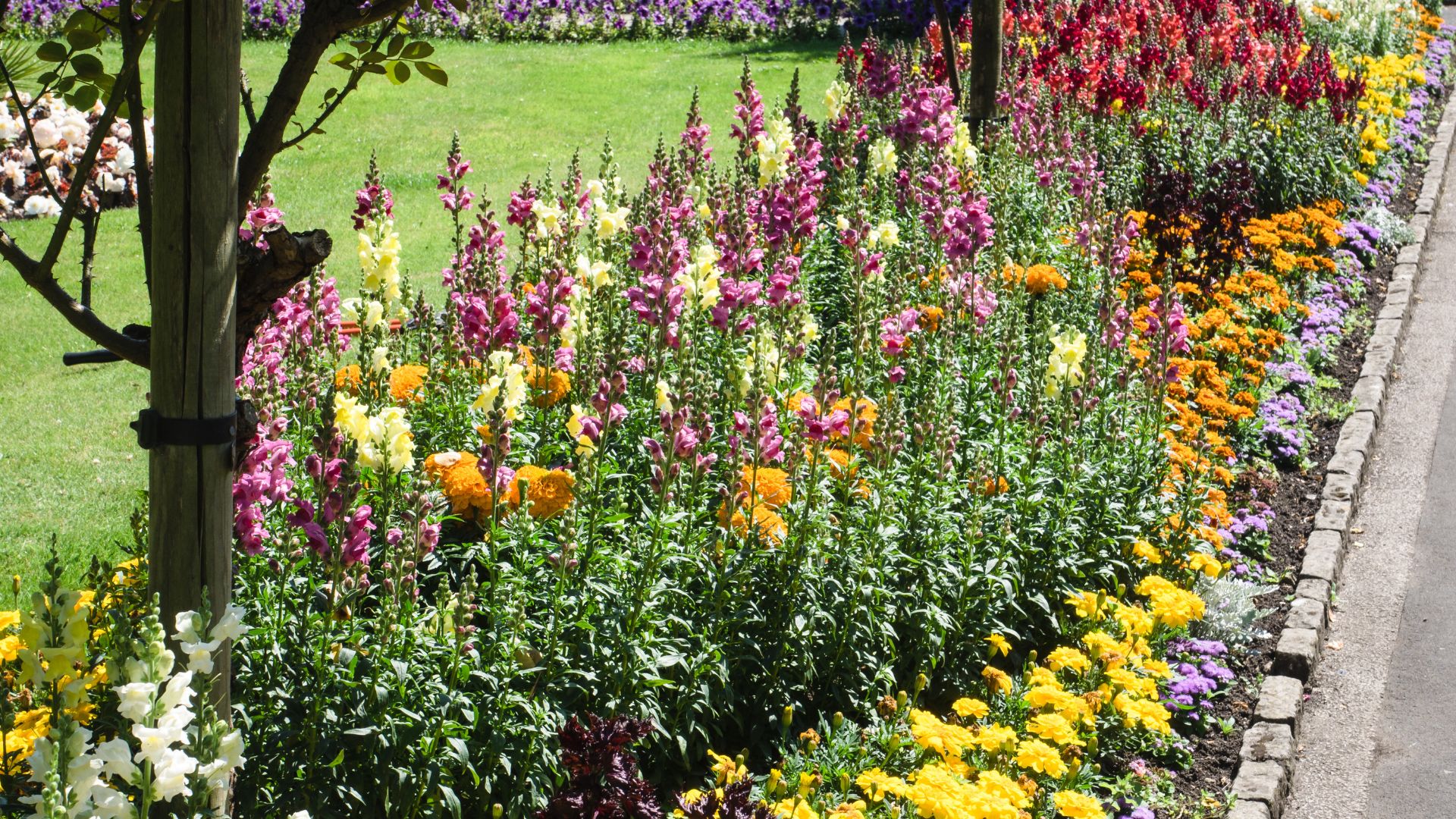 photo of flower bed