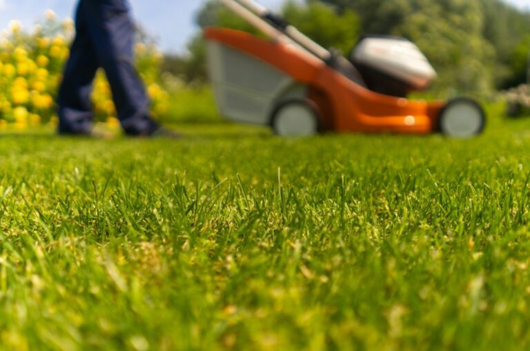 healthy grass with lawnmower